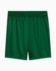Palmeiras Shorts 2025 II - Fan Version