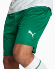 Palmeiras Shorts 2025 II - Fan Version