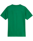 Palmeiras Training Shirt 25/26 - Green