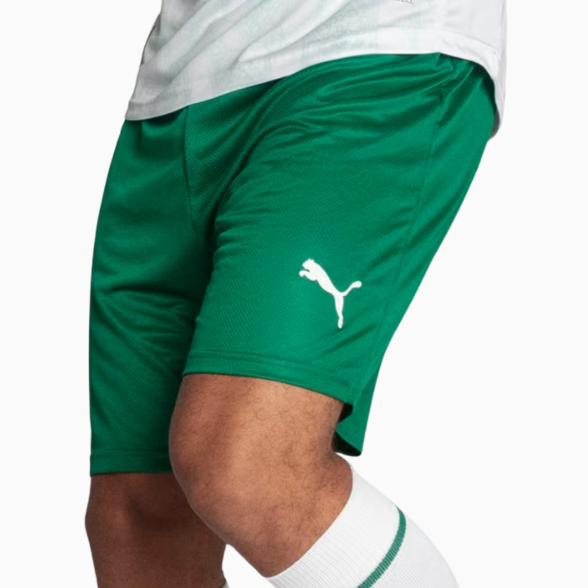 Palmeiras Shorts 2025 II - Fan Version