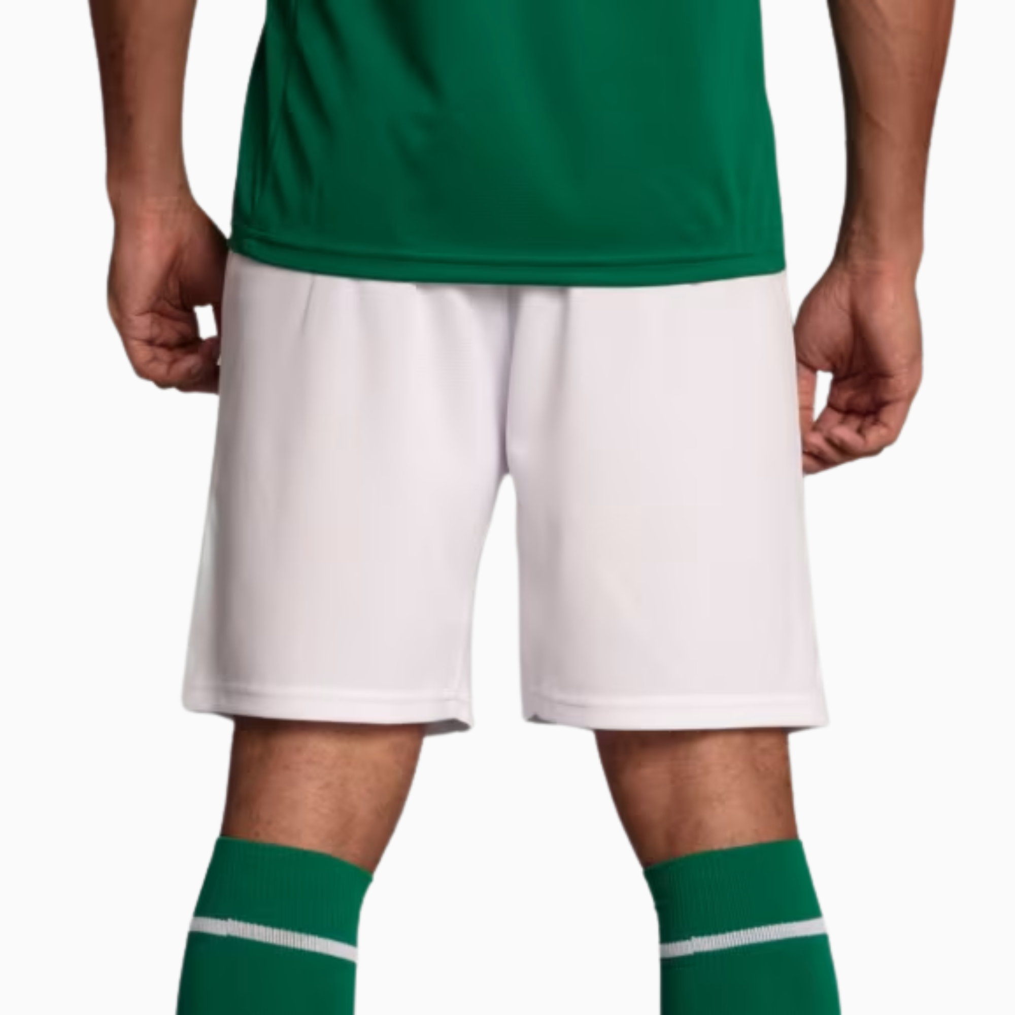 Palmeiras Shorts 2025 I - Fan Version