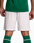 Palmeiras Shorts 2025 I - Fan Version