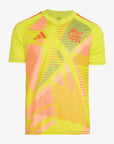 Camisa Adidas Flamengo 2025/26 I Goleiro