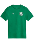 Palmeiras Training Shirt 25/26 - Green