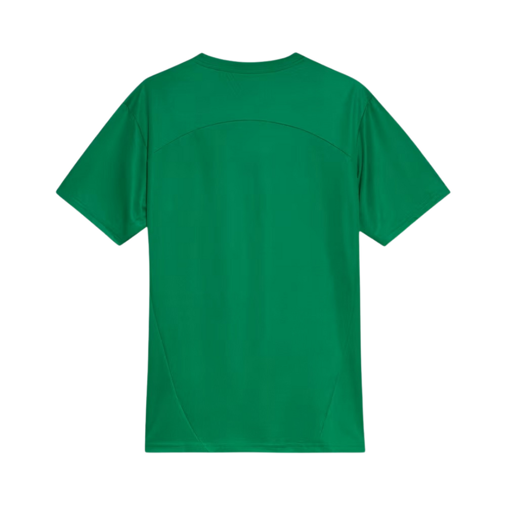 Palmeiras Training Shirt 25/26 - Green