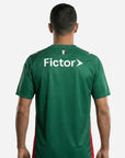 Palmeiras 2026 I Home Jersey - Fan Version
