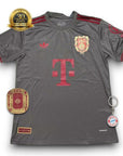 Bayern Munich Jersey 125th Anniversary Gray